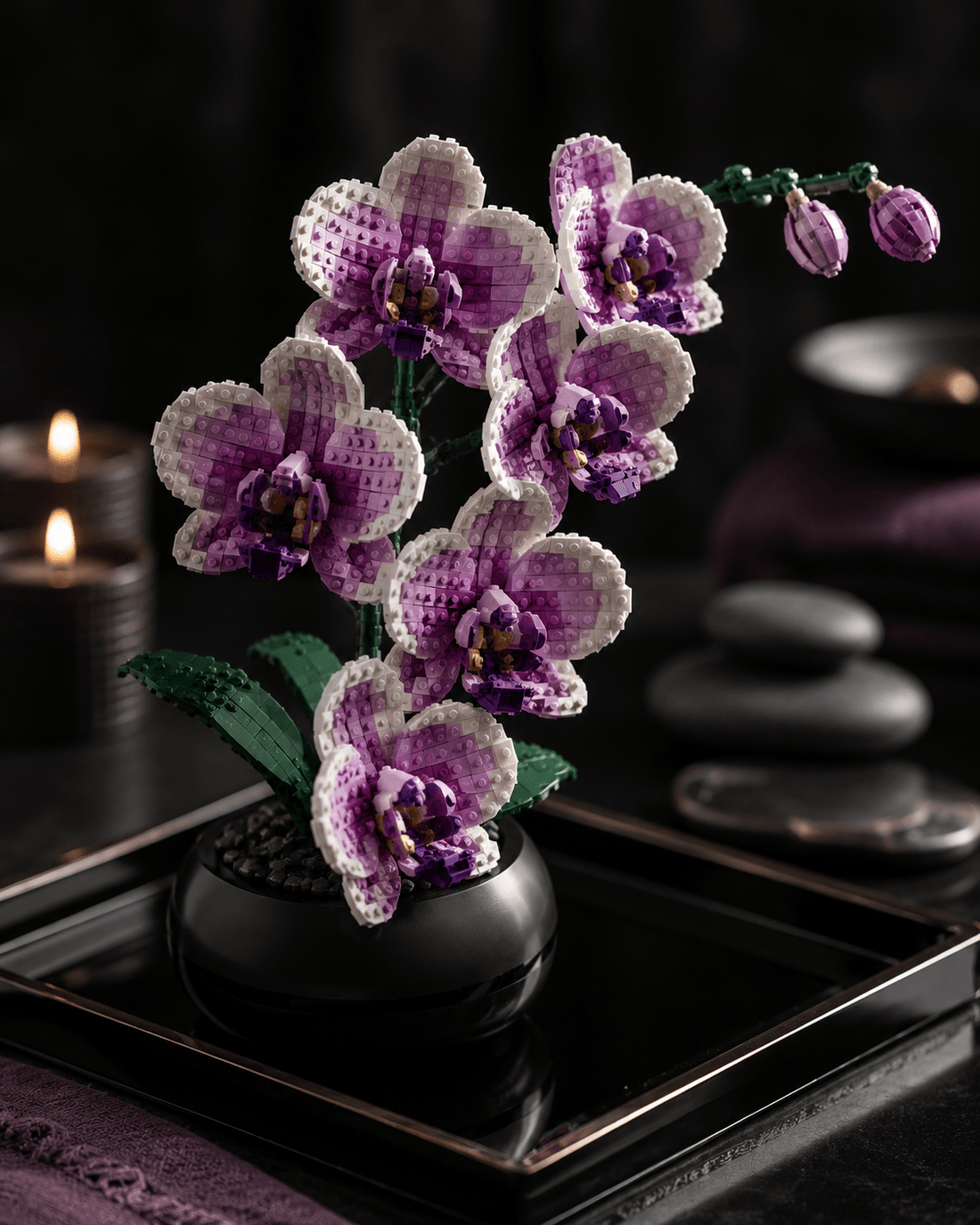 Orchid Gift Ideas: The One That Never Dies
