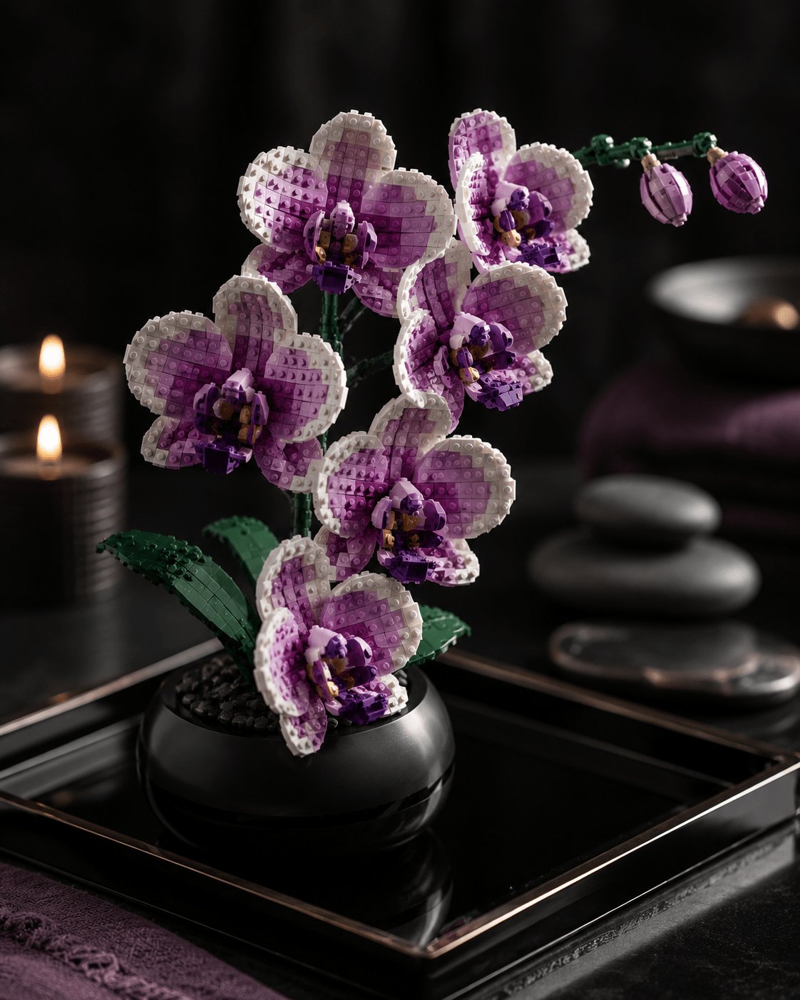 Orchid Gift Ideas: The One That Never Dies