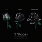 Black Rose Bouquet Kit – lifestyle display dark dramatic rose bouquet by Petaloo
