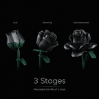 Black Rose Bouquet Kit – lifestyle display dark dramatic rose bouquet by Petaloo