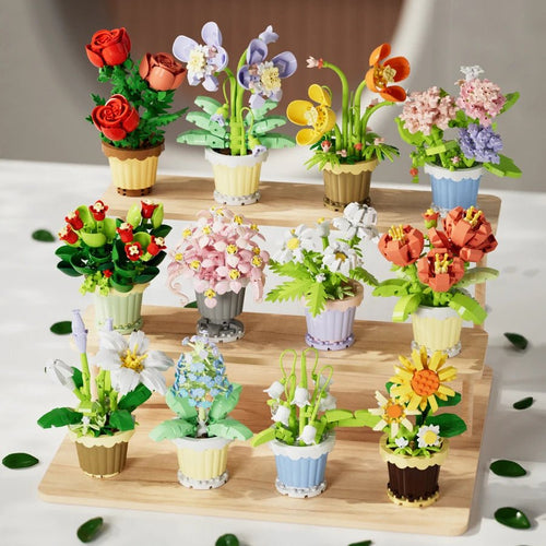 Petaloo Blooming Garden Kit – 12 flower varieties in mini decorative pot