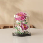 Forever Flower Kit assembled display – Petaloo DIY gift