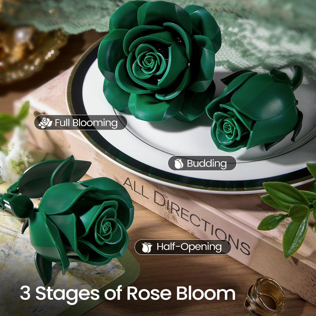 Green roses shown at full blooming, budding and half-opening stage, resting on books