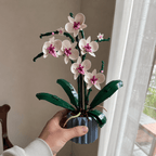 Build a stunning orchid from building blocks – elegant home decor – Petaloo