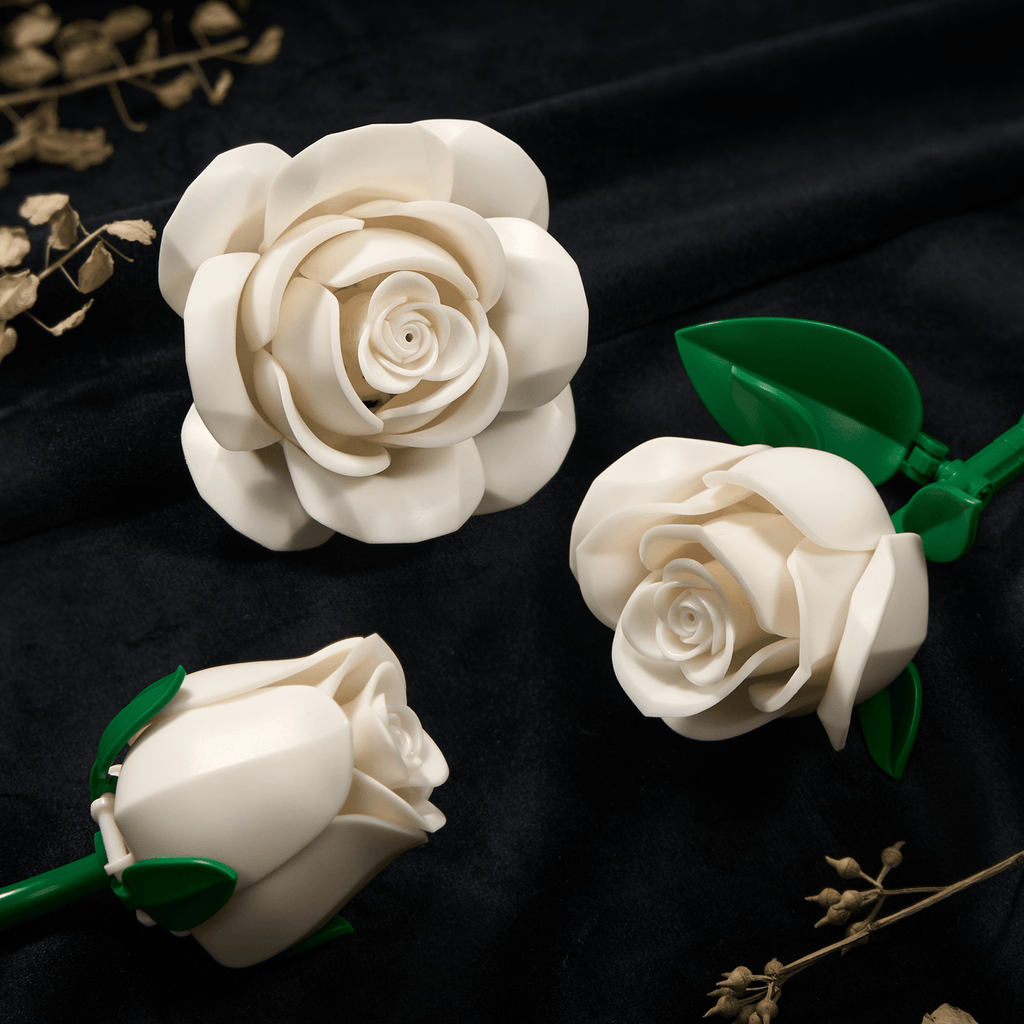 Two white roses on black velvet - one open bloom and one bud, with glossy green leaves