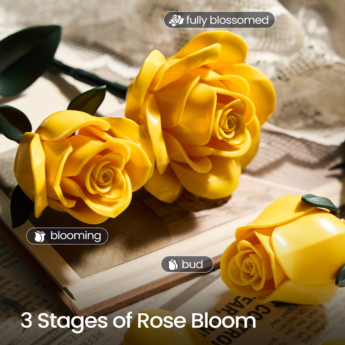 Yellow roses shown at bud, blooming and fully blossomed stage, resting on books